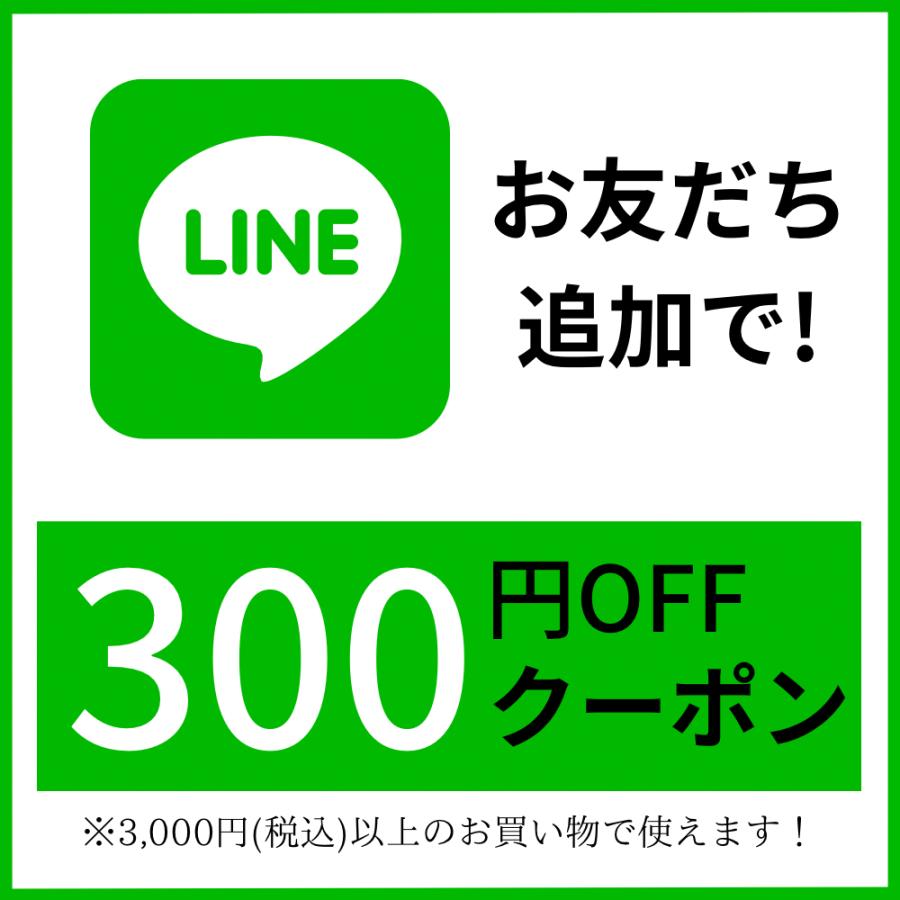 人気マカドリンク マカ 黒マカ 亜鉛 マカマックスメガ20000 50ml×10本