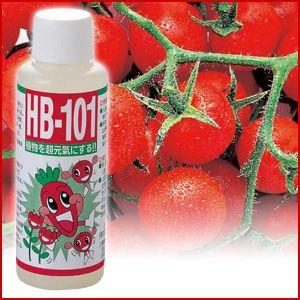 園芸用活力剤 植物活力HB-101 100ml アイメディア : アイメディア公式