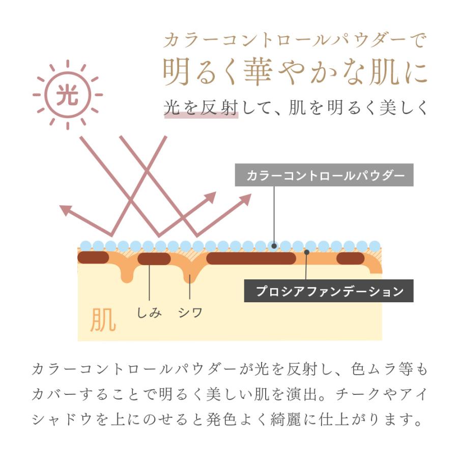 プロシアファンデーション 詰替用 レフィル  クリームファンデーション シミ隠し プロユース 高カバー ハイカバー 日本製 アイメディア｜mariamaria｜16