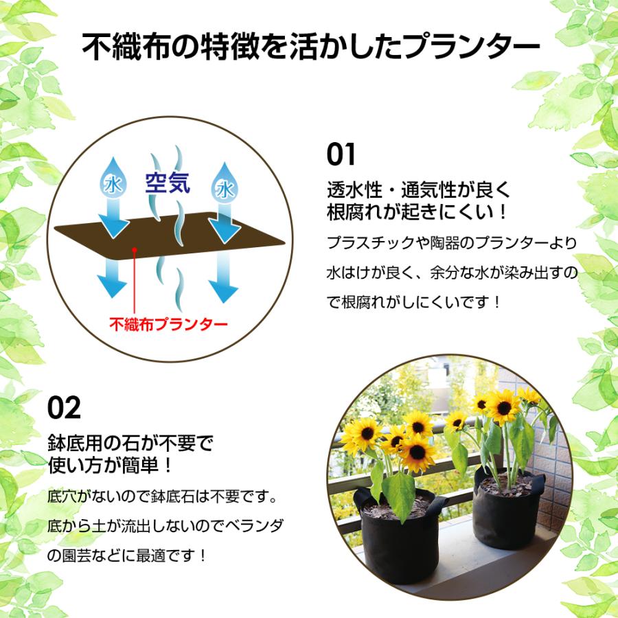 チャメロプス8号不織布ポット