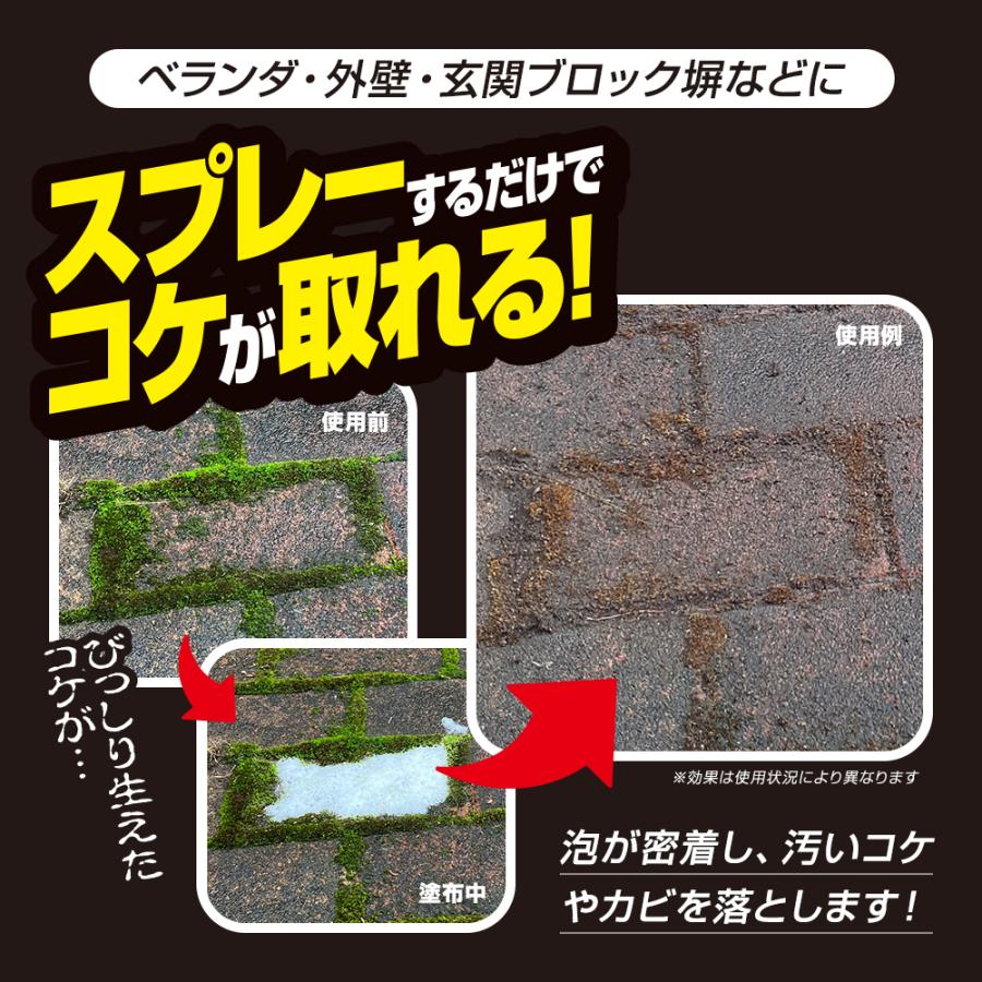 コケ取り剤 コケ除去剤 カビ取り剤 コケ取り 掃除 洗剤 スプレー 業務