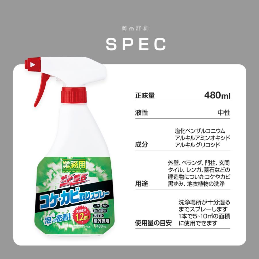 コケ取り剤 コケ除去剤 カビ取り剤 コケ取り 掃除 洗剤 スプレー 業務