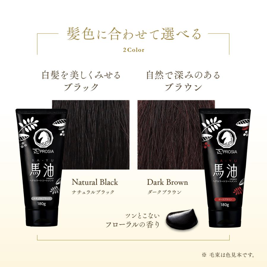 アイメディア 白髪染め 馬油ヘアカラートリートメント 2本組 セルフ