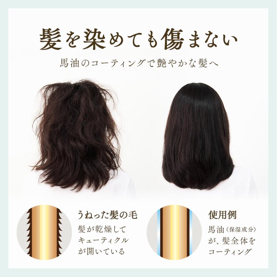 アイメディア 白髪染め 馬油ヘアカラートリートメント 2本組 アイメディア 白髪染め 馬油ヘアカラートリートメント 2本組