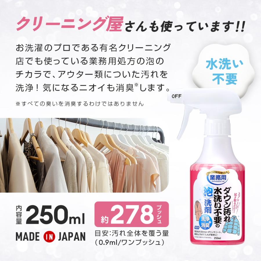 特価セール】ダウン専用洗剤10本セット洗濯 業務用 アイメディア
