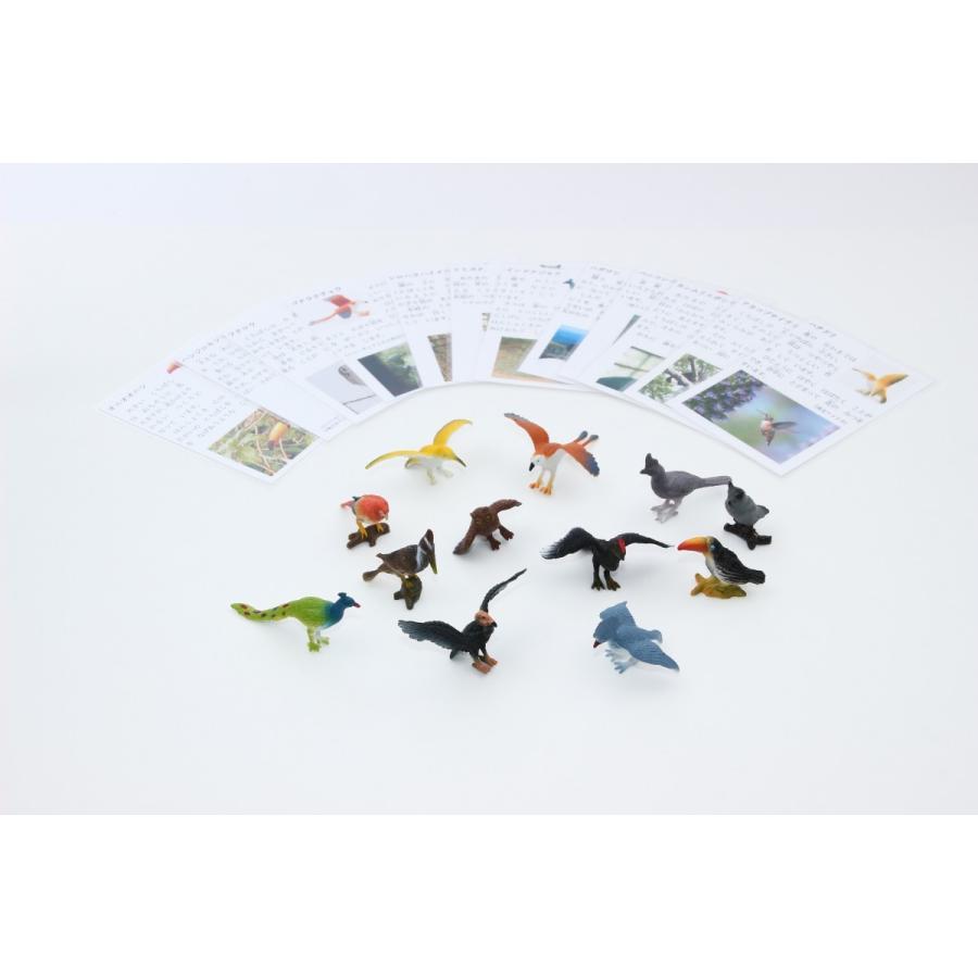 動物フィギュア 世界の鳥I 12種セット 説明カード、ケース付