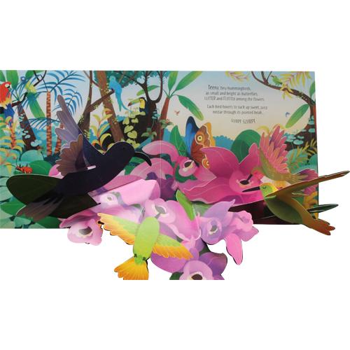 飛び出す絵本 鳥 Usborne 英語 しかけ絵本 ヨーロッパ発 飛び出す絵本 鳥 Usborne 英語 しかけ絵本 ヨーロッパ発