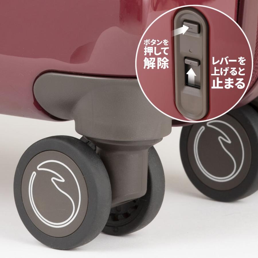 Ace（エース） ACE soelte ソエルテ マルカート 22リットル 機内