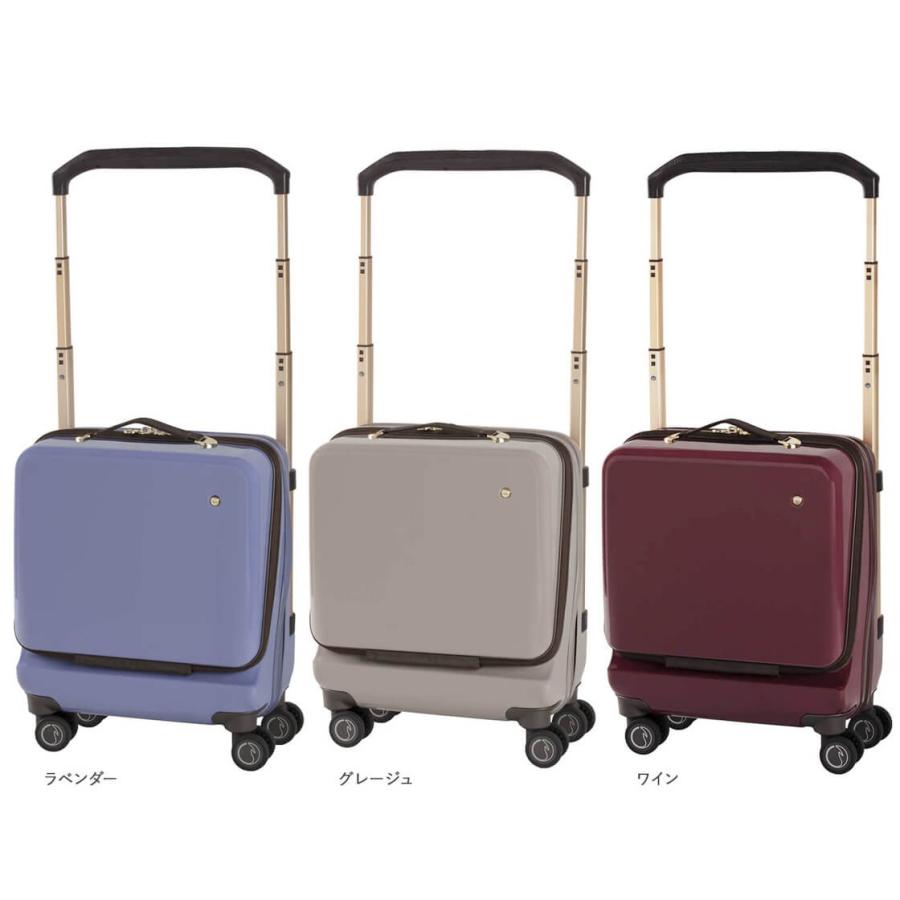 Ace ACE soelte ソエルテ マルカート 22リットル 機内持ち込み