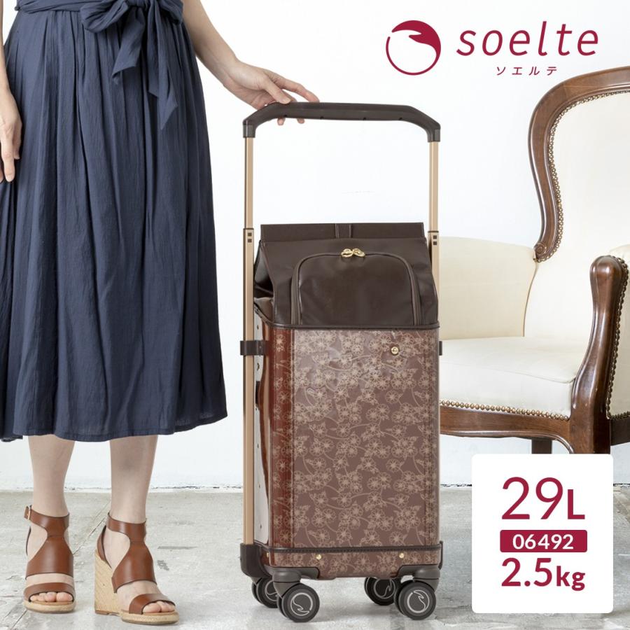 Ace（エース） ACE soelte ソエルテ ノイ 大サイズ 29リットルキャリー