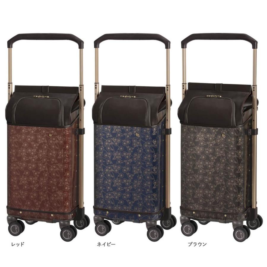 Ace（エース） ACE soelte ソエルテ ノイ 大サイズ 29リットルキャリー