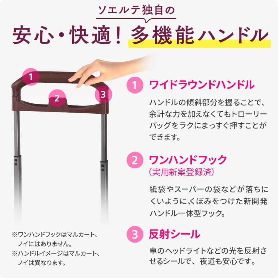 Ace（エース） ACE soelte ソエルテ ノービレ 9リットル 機内持ち込み