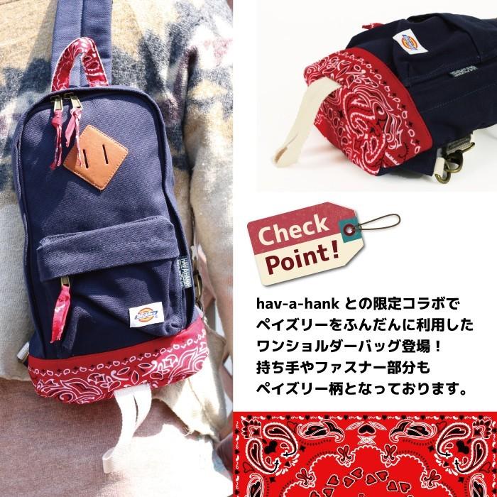 未使用品　希少柄　ヘルシーバッグパック　ペイズリー柄 ボディバッグワンショルダー Dickies（ディッキーズ） ボディバッグ メンズ ショルダーバッグ