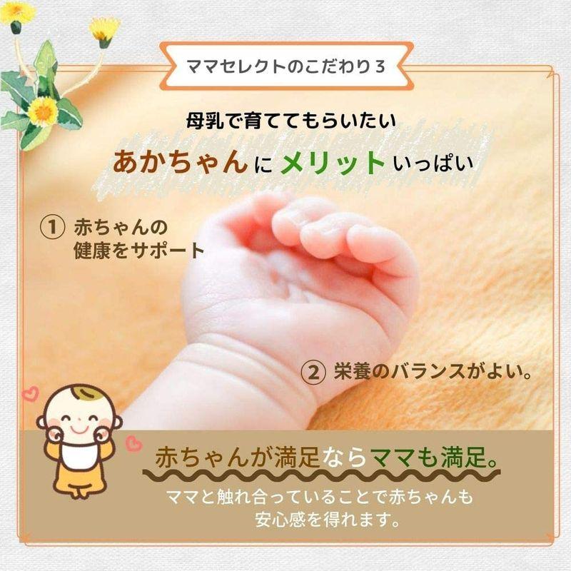 同梱不可】 ママセレクト たんぽぽ茶 2g×30包入り 母乳育児サポート ポーランド産 お得な2袋セット ティーバッグ コーヒー ソフトドリンク、ジュース たんぽぽ茶 ママセレクト