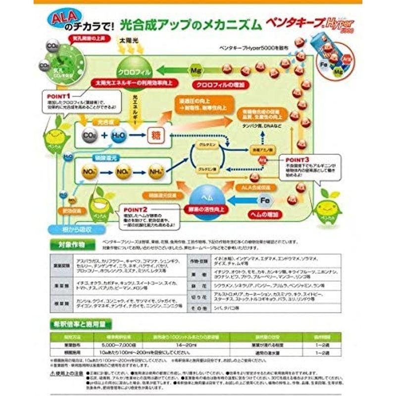 ALA配合液肥 ペンタキープハイパー 800ｍｌ ＆ ペンタキープフレンド 1000ｍｌセット ペンタキープハイパー 800ｍｌ ＆ ペンタキープフレンド 1000ｍｌセット
