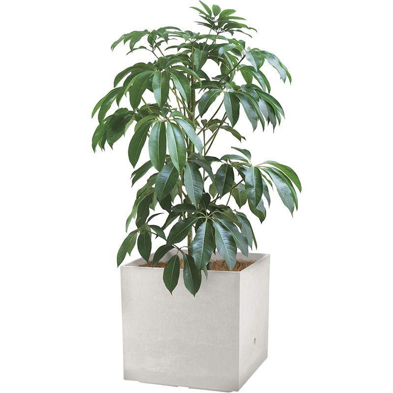 【新品 送料込み】 リッチェル 大型プランター 陶器風 ホワイト 45×45×45cm ラヴィーレWS キューブ 45型 底面給水機能付き 709002 【3027723028】(16497円)