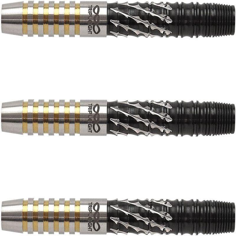 DYNASTY ASTRA DARTS TRIPLEIGHT DRAGOON(ドラグーン) 2BA 森窪龍己