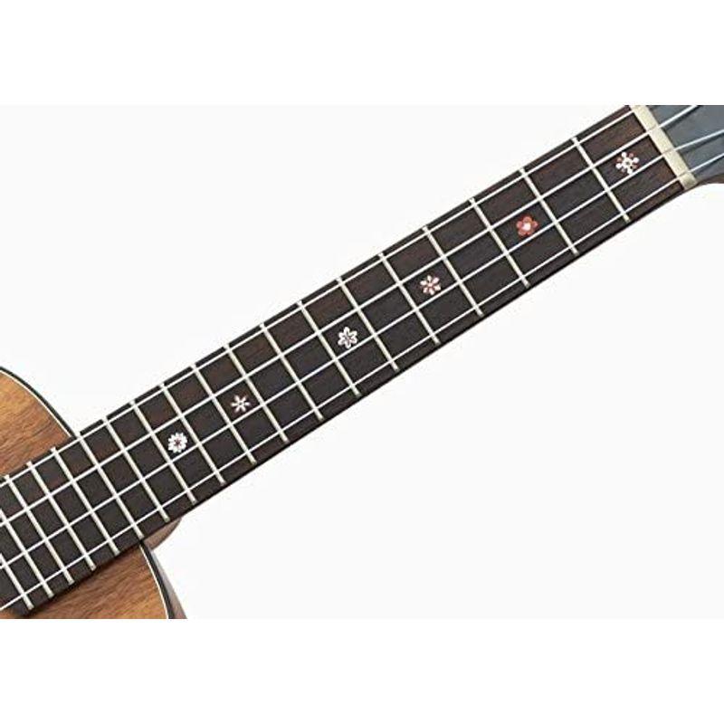 AQUA コンサートウクレレ Classic Koa II CK2 ケース付(コア材) コンサートウクレレ Classic Koa II CK2 ケース付 コア材 Rosewood