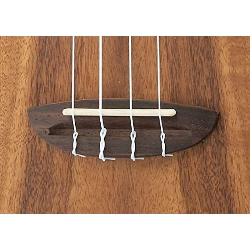 AQUA コンサートウクレレ Classic Koa II CK2 ケース付(コア材) コンサートウクレレ Classic Koa II CK2 ケース付 コア材 Rosewood