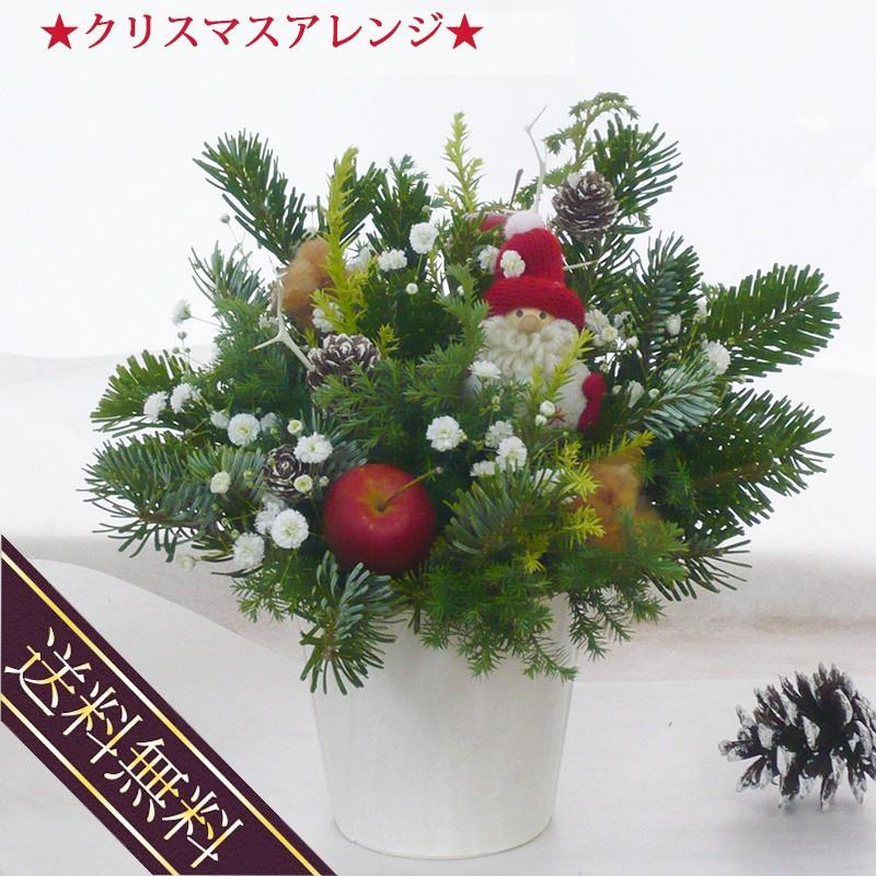 クリスマスアレンジ 送料無料 クリスマス 玄関 おしゃれ 生のクリスマスプレゼント クリスマスギフト 08xrp 05 横浜花まりかフラワーギフト専門店 通販 Yahoo ショッピング