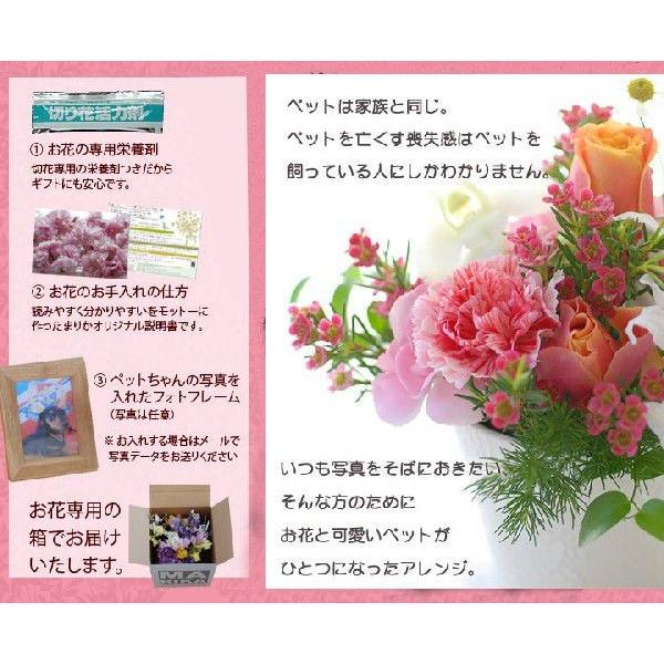 ペット お供え お悔やみ花 ギフト 星になったあの子へ AB 生花 ペット お供え お悔やみ花 ギフト 星になったあの子へ AB 生花