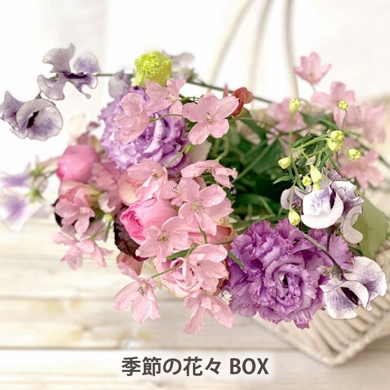 在庫一掃 母の日 花 ギフト お花 定期便 花々box Bコース 6ヶ月 送料無料 生花 フラワー アレンジ アレンジメント 季節の花 誕生日 プレゼント 母 祖母 気質アップ Www Technet 21 Org