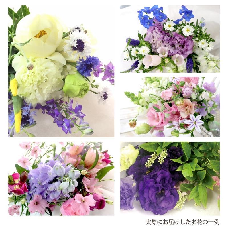 在庫一掃 母の日 花 ギフト お花 定期便 花々box Bコース 6ヶ月 送料無料 生花 フラワー アレンジ アレンジメント 季節の花 誕生日 プレゼント 母 祖母 気質アップ Www Technet 21 Org