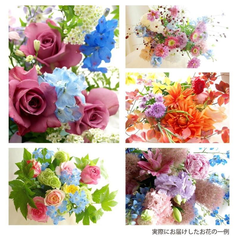 国内初の直営店 季節の花 アレンジメント フラワー 生花 12ヶ月 Cコース 花々box 定期便 お花 ギフト 花 宅配 配達 ギフト フラワー 生花 12ヶ月 定期便 花 結婚記念日 女性 プレゼント 誕生日 生花 Www Solidarite Numerique Fr