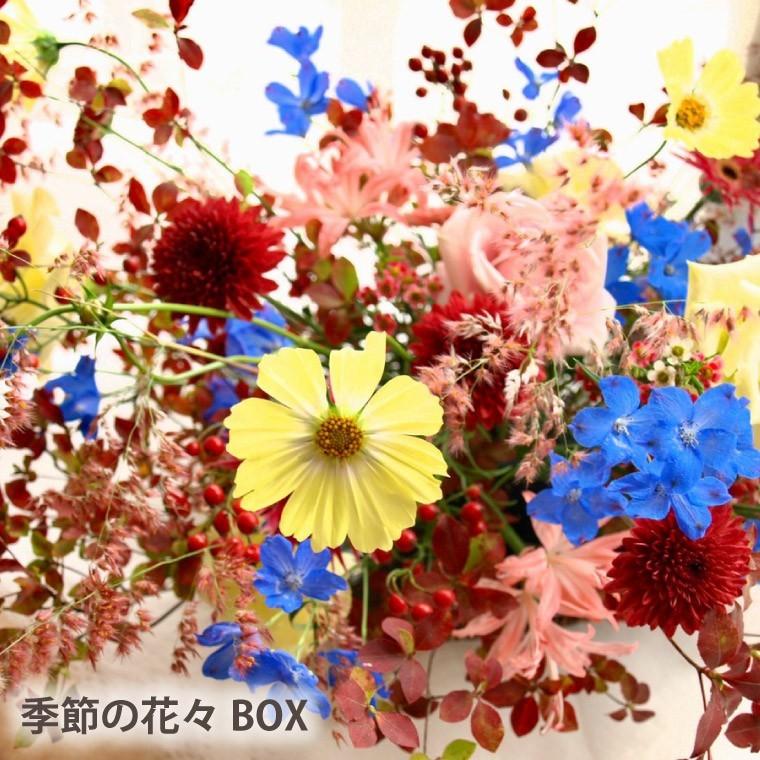 花 ギフト お花 定期便 花々box Dコース 3ヶ月 送料無料 生花 フラワー アレンジ アレンジメント 季節の花 誕生日 プレゼント 母 祖母 Boxd 03 横浜花まりかフラワーギフト専門店 通販 Yahoo ショッピング