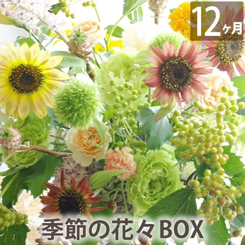 花 ギフト お花 定期便 花々BOX フラワーアレンジメント Dコース12ヶ月 1年 生花 生花 フラワー アレンジメント プレゼント 誕生日 アレンジ 宅配 季節の花 横浜花まりかフラワーギフト専門店 アレンジメント boxd 12 花 ギフト お花 定期便 花々BOX フラワーアレンジメント Dコース12ヶ月 1年 生花 生花 フラワー アレンジメント プレゼント 誕生日 アレンジ 宅配 季節の花 横浜花まりかフラワーギフト専門店 アレンジメント boxd 12