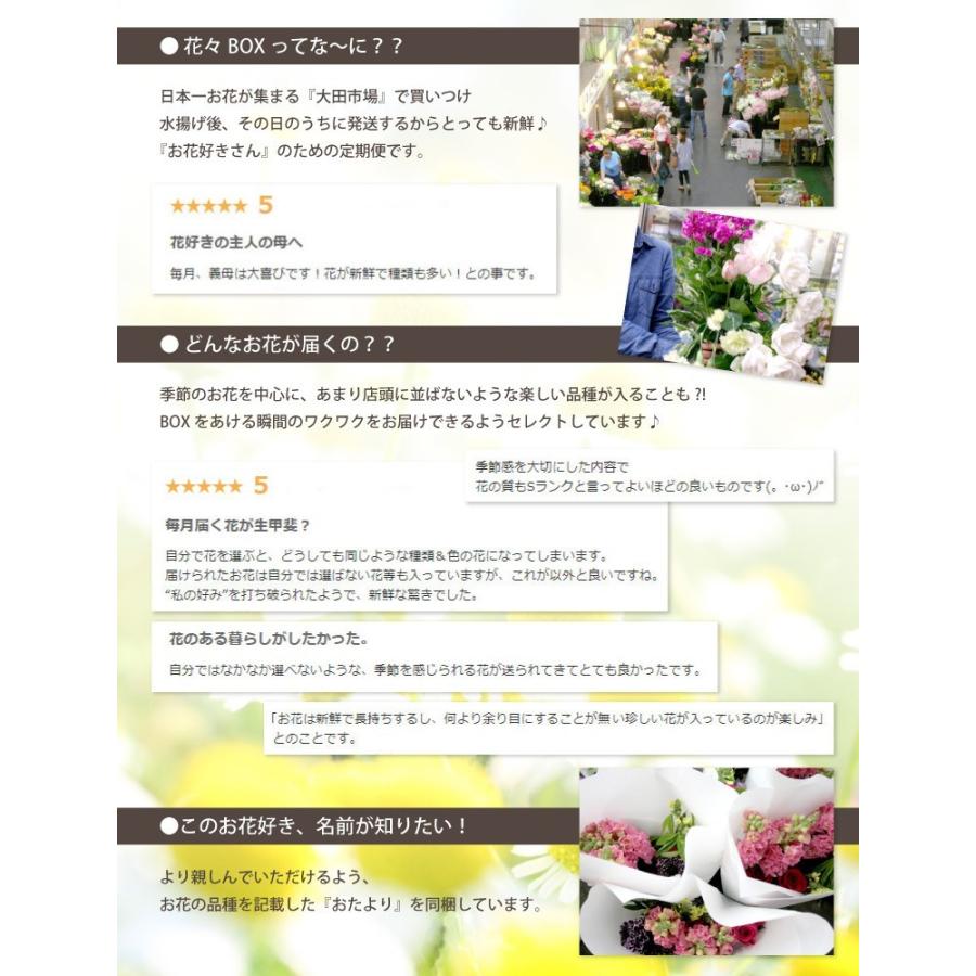 敬老の日 花 ギフト お花 定期便 花々box Dコース12ヶ月 1年 生花 フラワー アレンジ アレンジメント 季節の花 誕生日 プレゼント 宅配 Boxd 12 横浜花まりかフラワーギフト専門店 通販 Yahoo ショッピング
