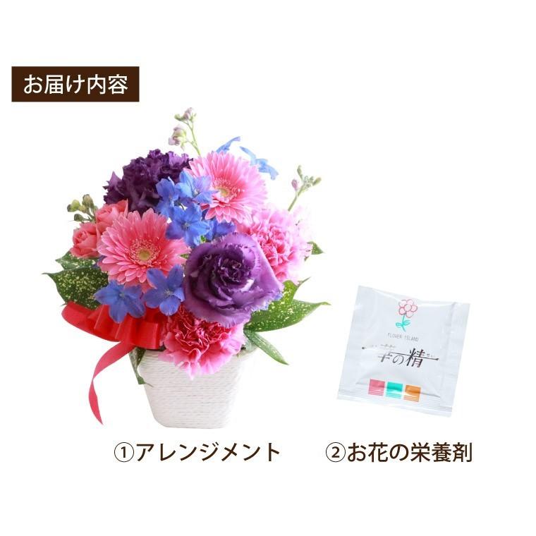 母の日 花 誕生日 ギフト 季節の花 アレンジ 生花 花束 退職祝い 女性 プレゼント おしゃれ フラワー アレンジ お花 宅配 結婚記念日 母 祖母 Fa 007 横浜花まりかフラワーギフト専門店 通販 Yahoo ショッピング