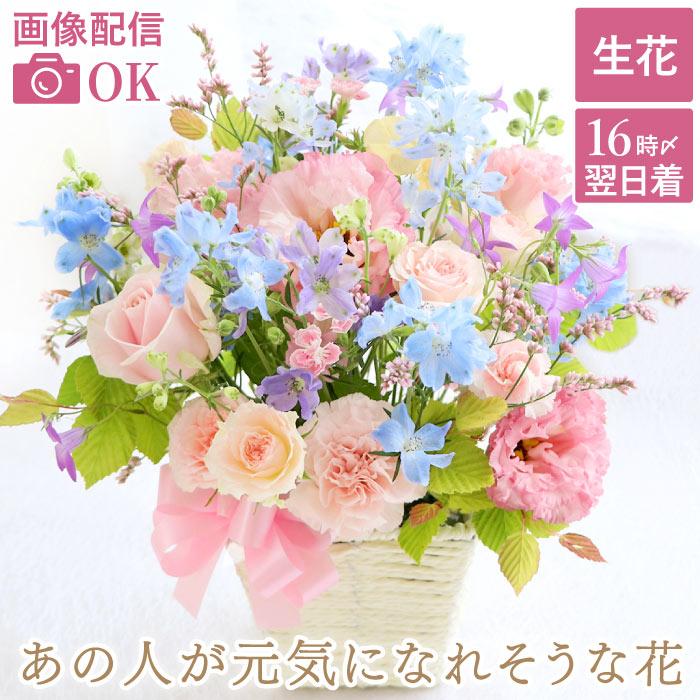 1650円 開催中 退院祝い 花 ギフト あの人 元気 フラワー アレンジ Ab 生花 アレンジメント お見舞い お中元 暑中見舞い プレゼント 女性 母 50代 60代 70代