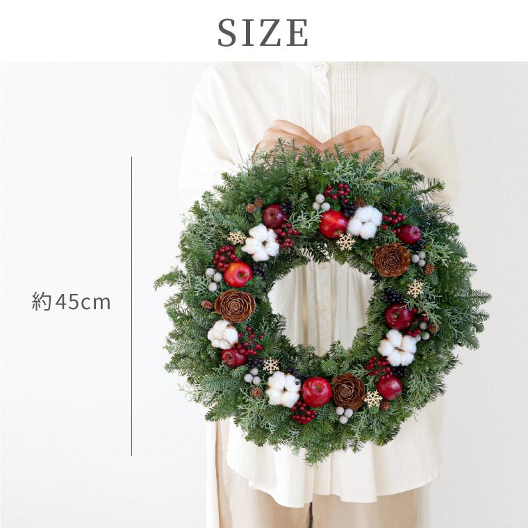 ５５ 以上節約 姫リンゴ 赤 Lサイズ 5個 Masajeorientalbcn Com