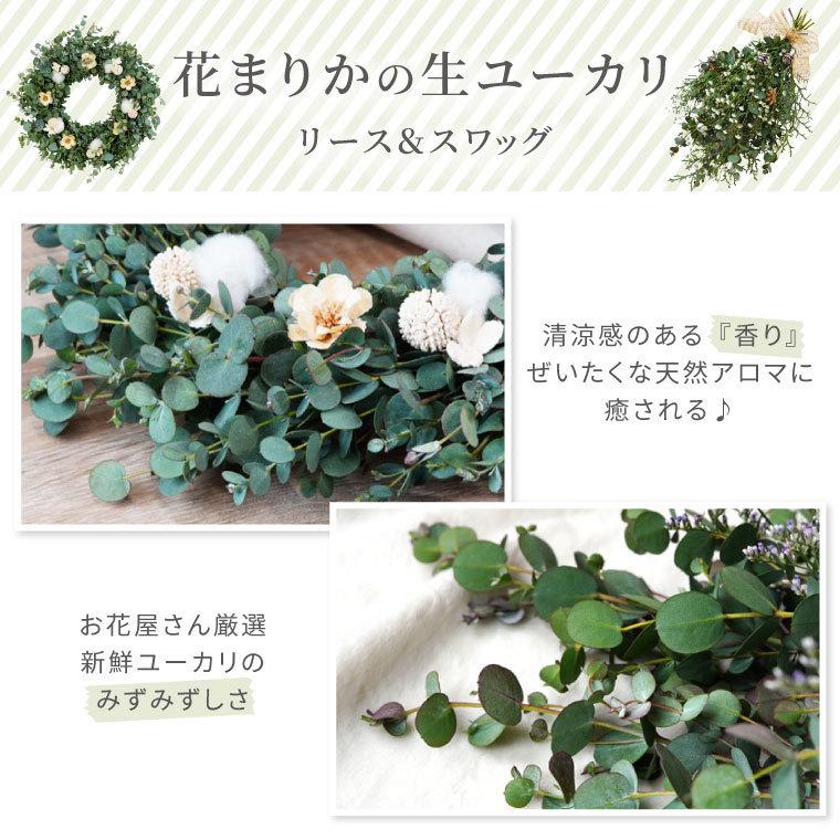 クリスマス プレゼント 花 ユーカリ フレッシュ スワッグ おしゃれ 生花 花束 玄関 ドア 壁 飾り お花 宅配 結婚祝い 女性 誕生日 ギフト 贈り物 Frh 58 横浜花まりかフラワーギフト専門店 通販 Yahoo ショッピング