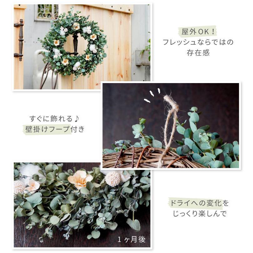 クリスマス飾り プレゼント ギフト 生花 ユーカリ フレッシュスワッグ