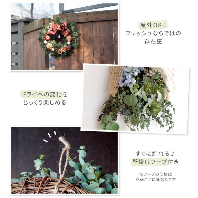 クリスマス 生花 コニファーと月桃のリース 30cm フレッシュ 北欧雑貨 おしゃれ 玄関 ドア飾り 壁飾り プレゼント ギフト アレンジ 誕生日 結婚祝い Frh 62 横浜花まりかフラワーギフト専門店 通販 Yahoo ショッピング