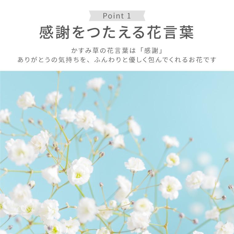 7日前予約品 花 誕生日プレゼント かすみ草 花束 ブーケ カスミソウ 生花 おしゃれ ギフト 退職祝い 退院祝い 誕生日 女性 母 祖母 60代 70代 Ft 009 横浜花まりかフラワーギフト専門店 通販 Yahoo ショッピング