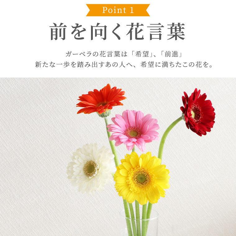 7日前予約品 退職祝い 花 花言葉 希望 ガーベラ 花束 10本 生花 ブーケ フラワー ギフト 誕生日 プレゼント 母 結婚記念日 結婚祝い 女性 母 祖母 Ft 017 横浜花まりかフラワーギフト専門店 通販 Yahoo ショッピング