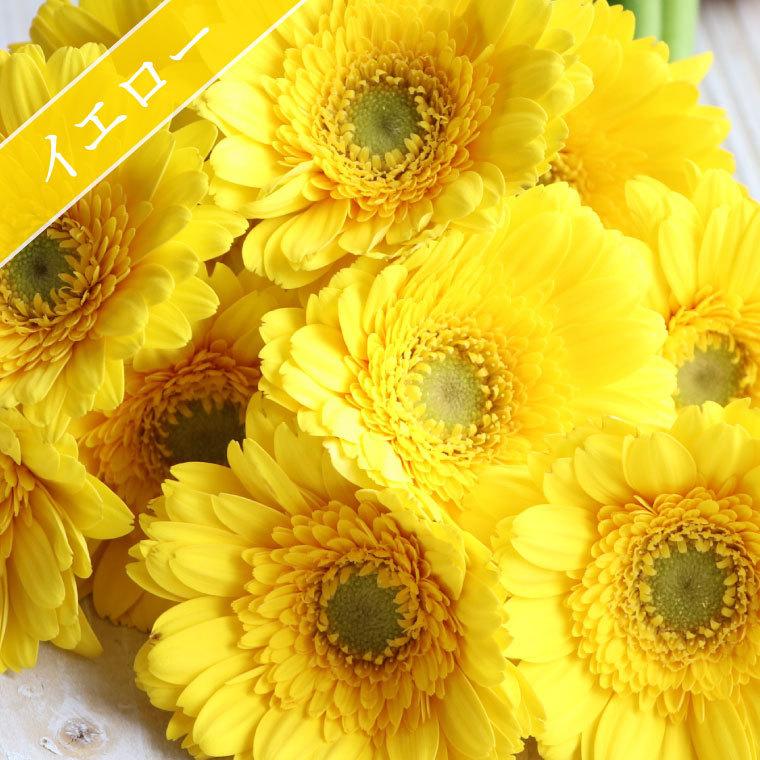 超目玉 12月 花 ギフト 誕生日 10月の誕生花 ビタミンオレンジアレンジ3 500円 送料無料 翌日配達 花言葉付き ガーベラ 写真付きメッセージ選択可 Rmladv Com Br