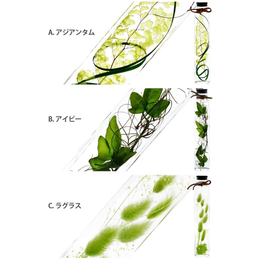 引っ越し祝い プレゼント 友人 観葉植物 新築祝い グリーン プランツ ハーバリウム 花 ギフト おしゃれ インテリア 誕生日 男性 女性 贈り物 Hrb 13 横浜花まりかフラワーギフト専門店 通販 Yahoo ショッピング