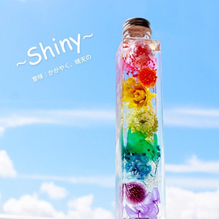 ペット 仏壇 仏具 お供え ハーバリウム 花 虹の橋 シャイニー お悔やみ