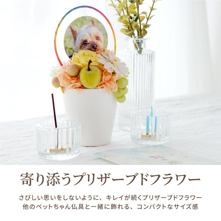 プリザーブドフラワー お供え 花 ペット 虹の橋 お悔やみ 枯れない花
