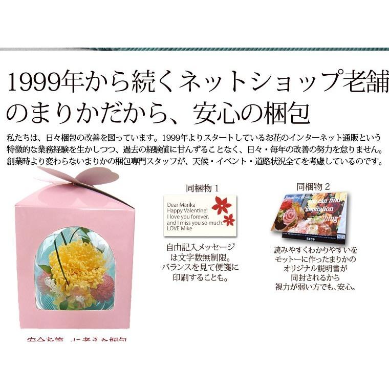 お供え プリザーブドフラワー 思い出ドーム 送料無料 仏花 命日 お彼岸 ペット お供え花 アレンジメント 枯れない花 ドーム Pr Z0 横浜 花まりかフラワーギフト専門店 通販 Yahoo ショッピング