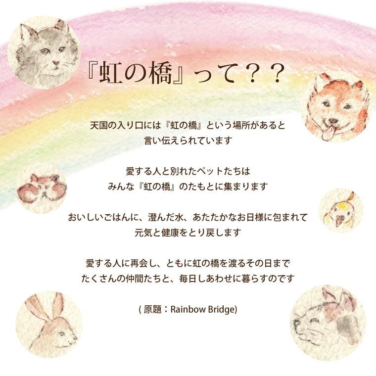 お悔やみ 花 プリザーブド フラワー ペット お供え ドーム 虹の橋 犬 猫 命日 供花 供養花 仏花 49日 一周忌 三回忌 法要 お花 宅配 贈り物 Prs 26 横浜花まりかフラワーギフト専門店 通販 Yahoo ショッピング