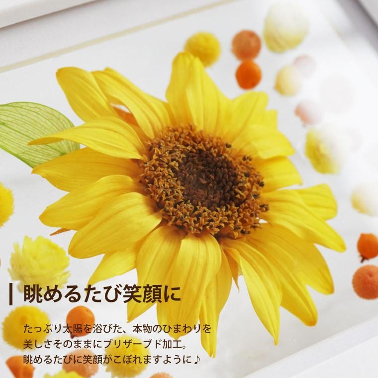 母の日 花 ギフト おしゃれ ひまわり フローティング フォトフレーム プリザーブドフラワー 結婚祝い 女友達 誕生日 女性 結婚記念日 インテリア 雑貨 Prs 29 横浜花まりかフラワーギフト専門店 通販 Yahoo ショッピング