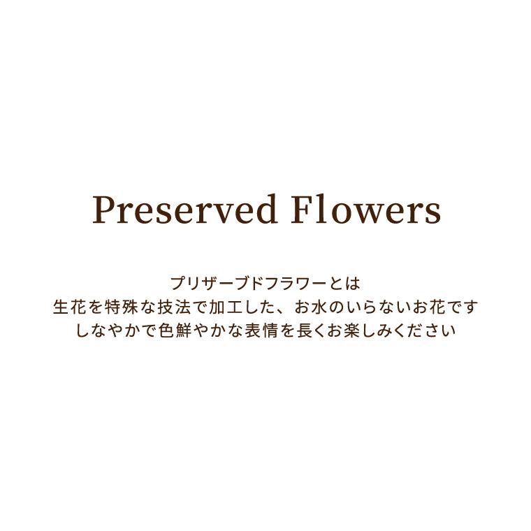 おしゃれ お盆 初盆 お供え 花 プリザーブドフラワー ゆうか 供花 アレンジメント 枕花 仏花 お悔やみ 電報 弔電 お花 送る 宅配 一周忌 49日 法要 贈り物 Aynaelda Com