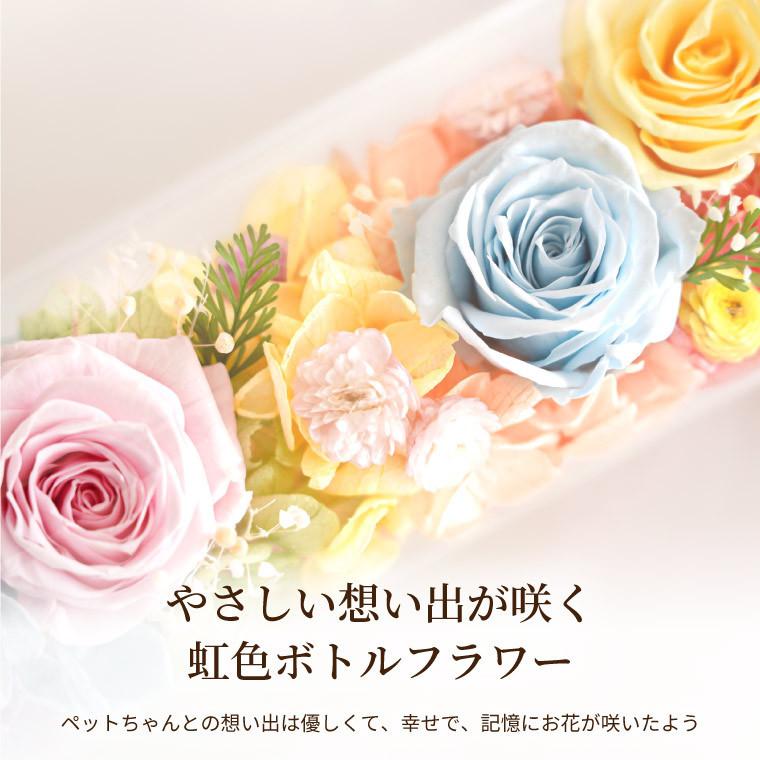 ペット お供え 花 虹の橋 想い出ボトル プリザーブドフラワー 仏花