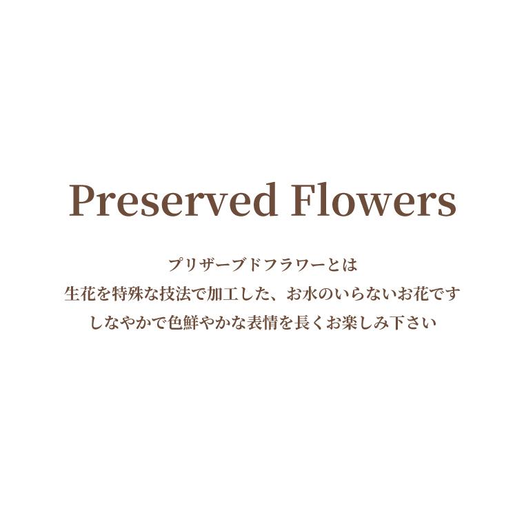 プリザーブドフラワー 結婚祝い クリスマス プレゼント 女性 花 ハッピーフラワーボトル バラ 誕生日 退職 還暦祝い 誕生日 ガラス ギフト 母 祖母 60代 70代 |  | 12