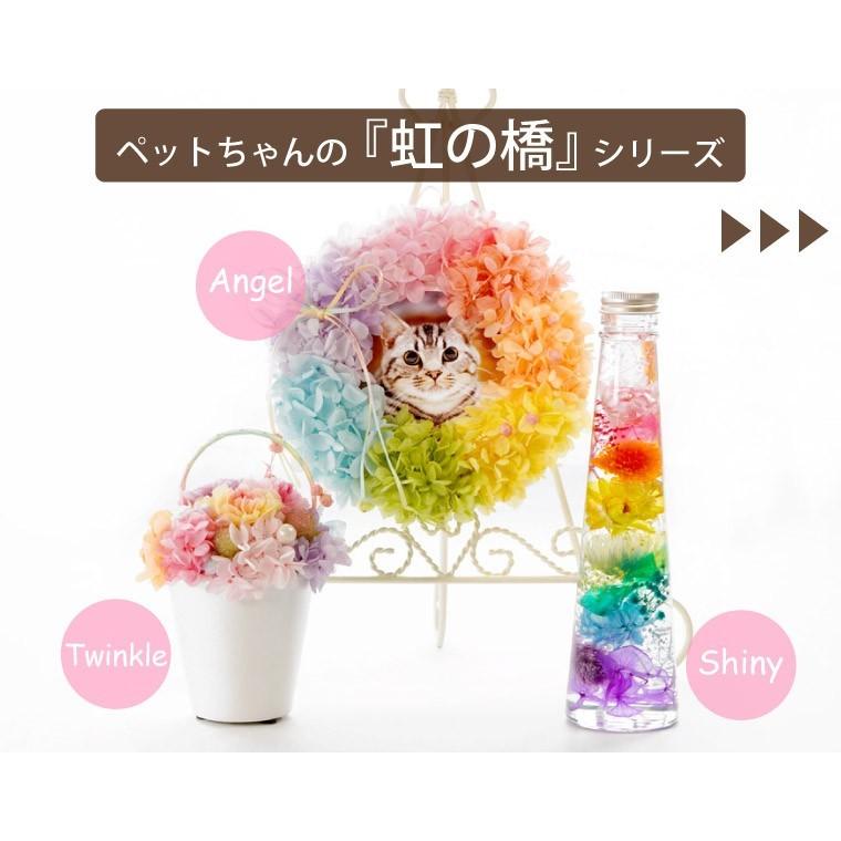 プリザーブドフラワー♡お昼寝メェちゃんのリース ペット お供え プリザーブドフラワー 仏壇用 仏花 写真 虹の橋 リース